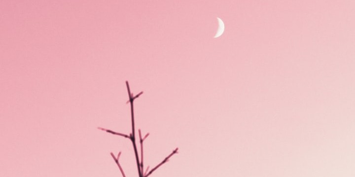 100 Pink Quotes to Make Your Day Lovely and Sweet