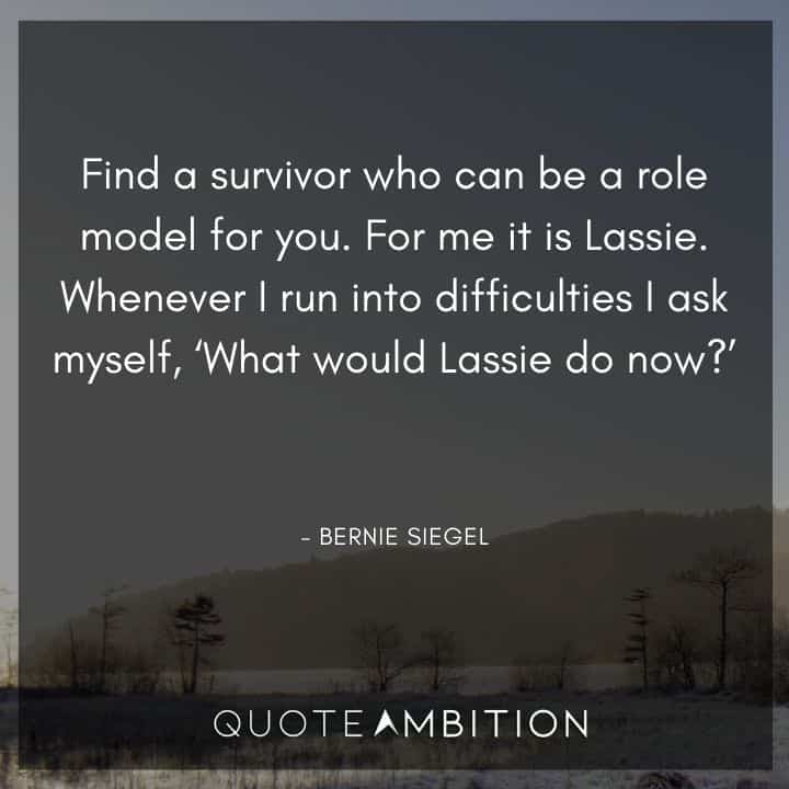 Resilience Quotes - Find a survivor who can be a role model for you. For me it is Lassie. 