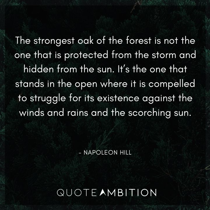 Resilience Quotes - The strongest oak of the forest is not the one that is protected from the storm and hidden from the sun.