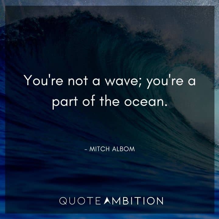 Wave Quotes - You're not a wave; you're a part of the ocean.