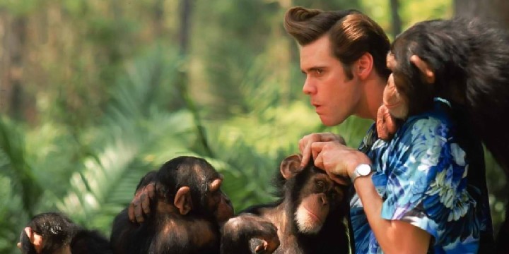 Ace Ventura Quotes