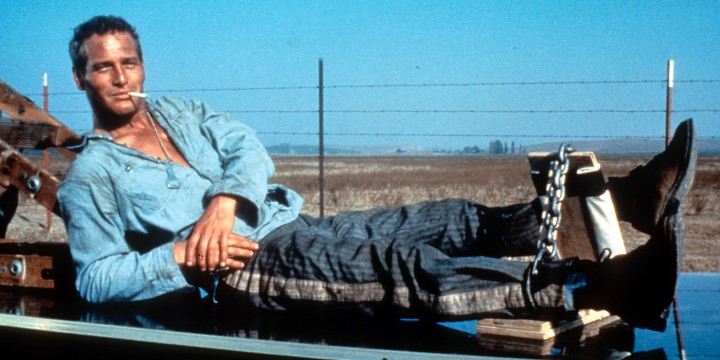 Cool Hand Luke Quotes