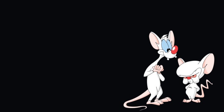 Pinky And The Brain Quotes