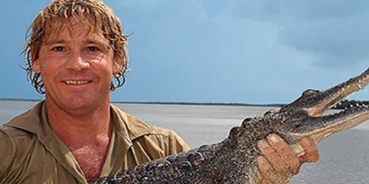 Steve Irwin Quotes