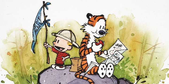 Calvin and Hobbes Quotes