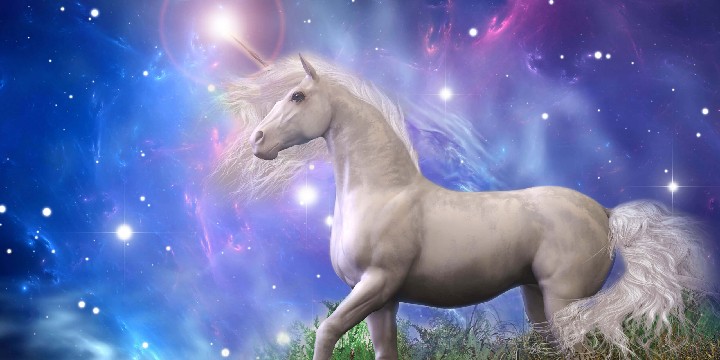 Unicorn Quotes