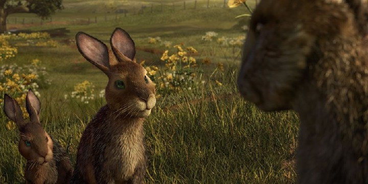 Watership Down Quotes