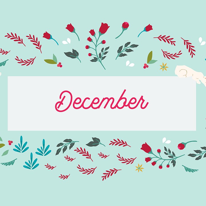 December Quotes to Help You Reflect On the Past Year