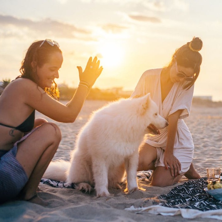 Dog Mom Quotes to Fill Your Heart With Love