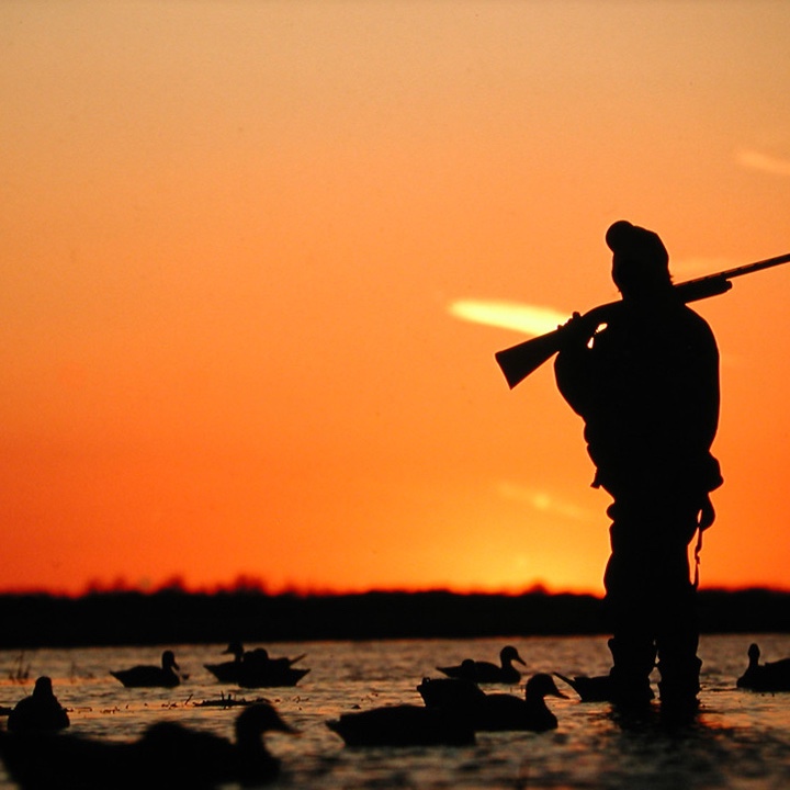 Hunting Quotes to Inspire You