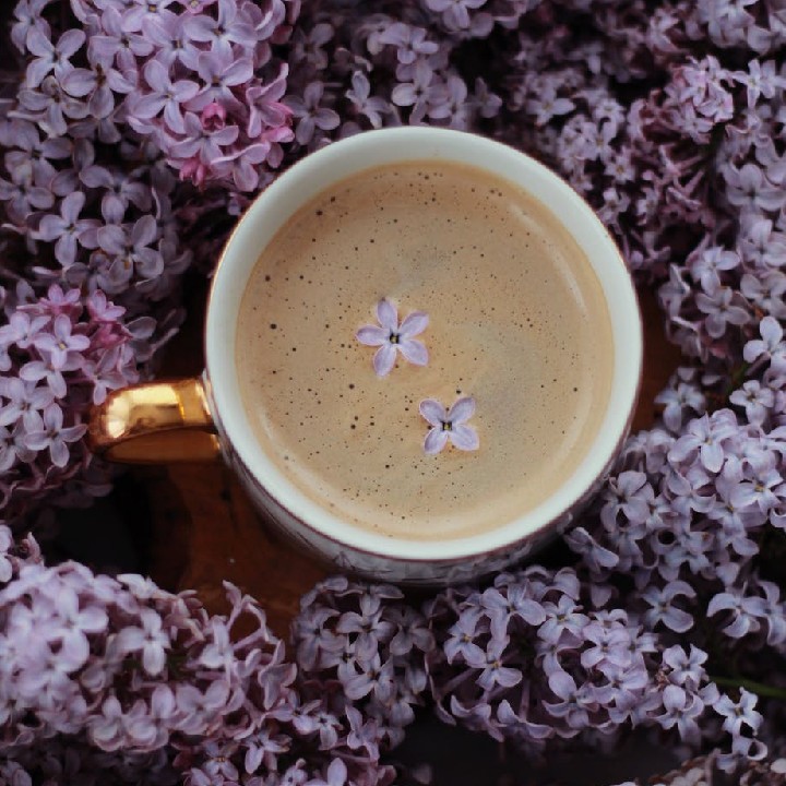 Lilac Quotes That’ll Make Your Heart Bloom