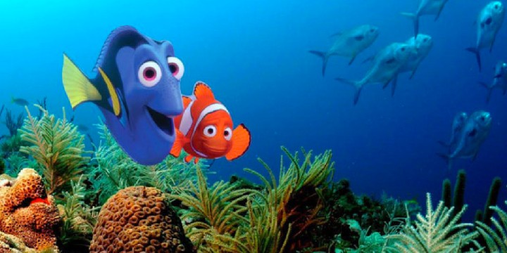 Finding Nemo Quotes