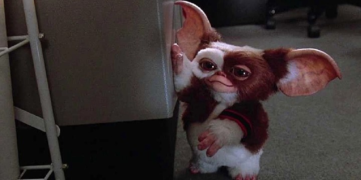 Gremlins Quotes